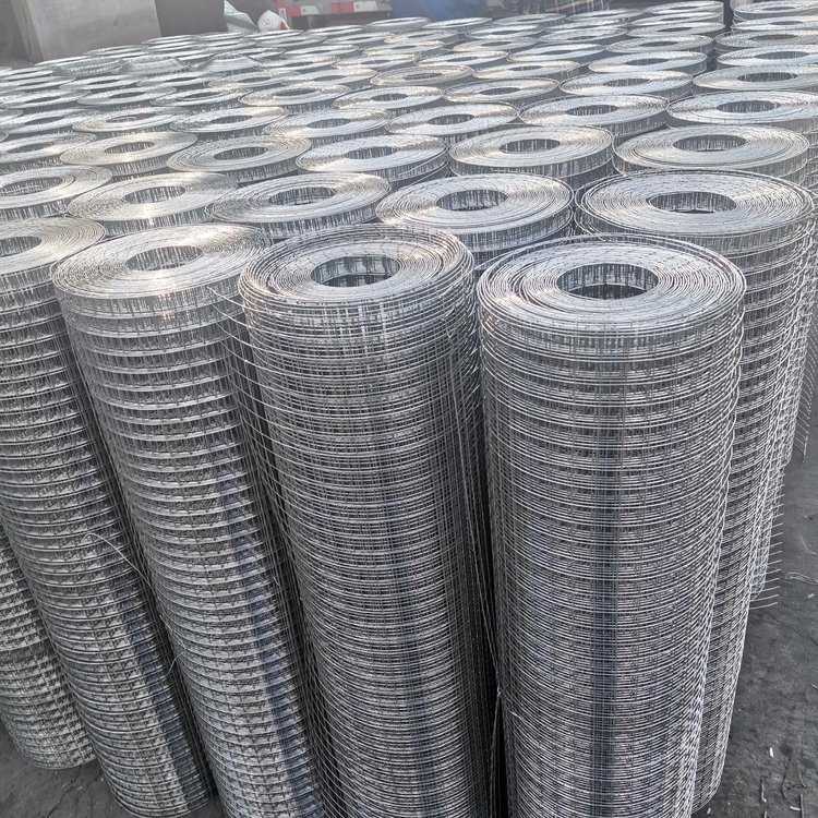 Welded Wire Mesh